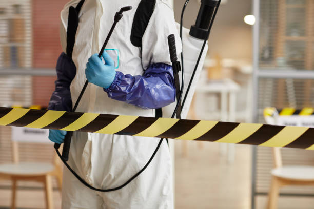 Professional Biohazard technician working in Sheridan, MI